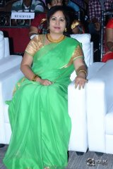 Pandaga Chesko Movie Audio Launch